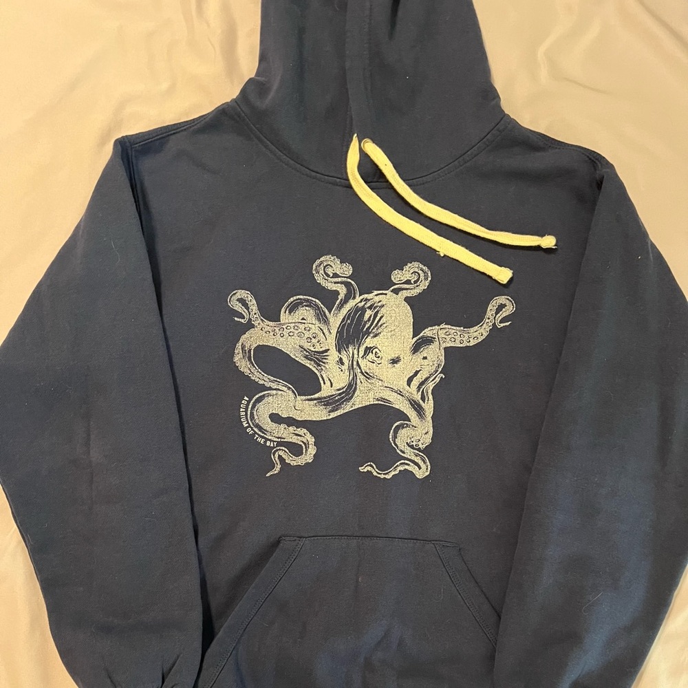 NWOT hoodie